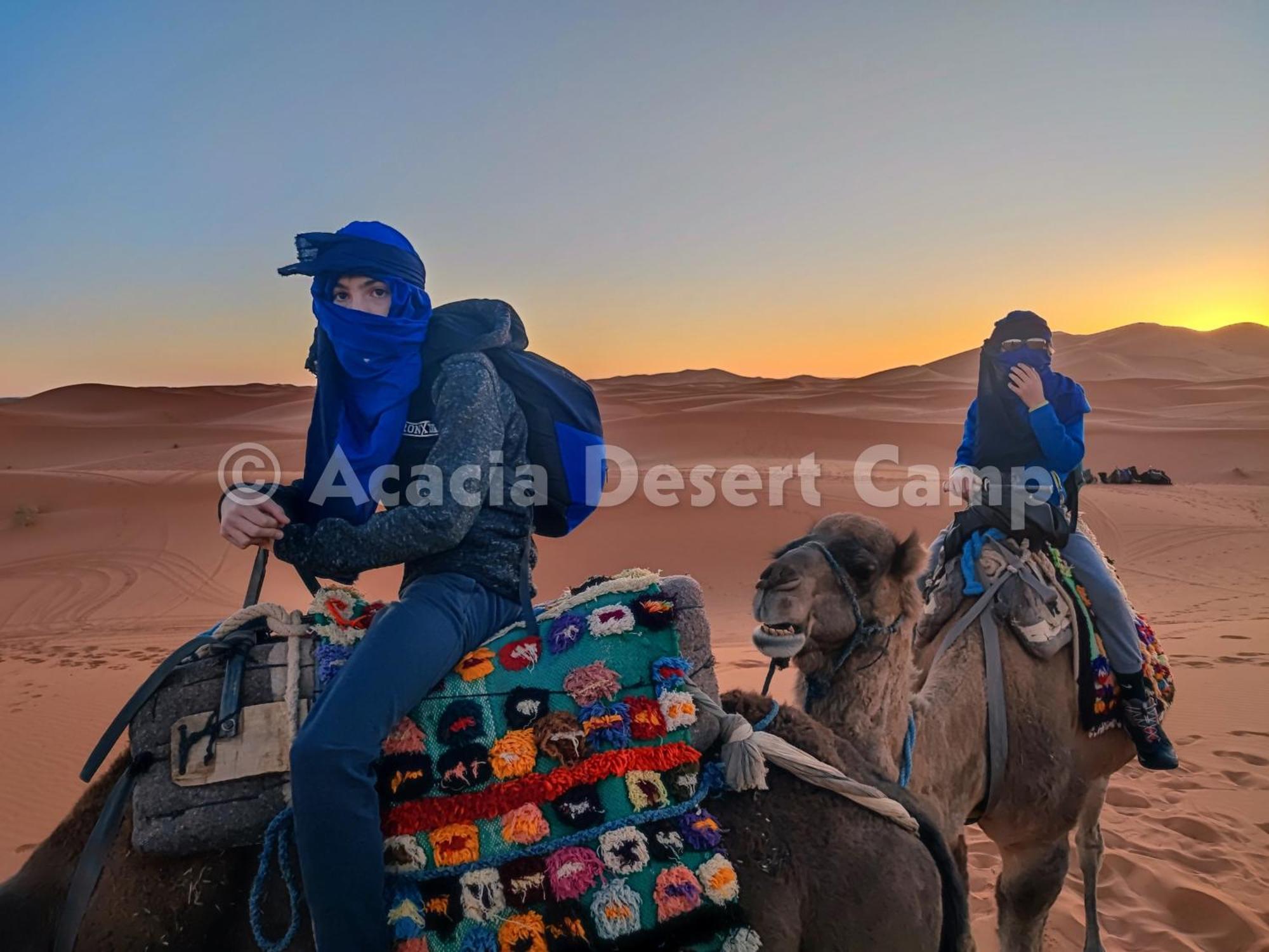 梅尔祖卡 Acacia Desert Camp酒店 外观 照片