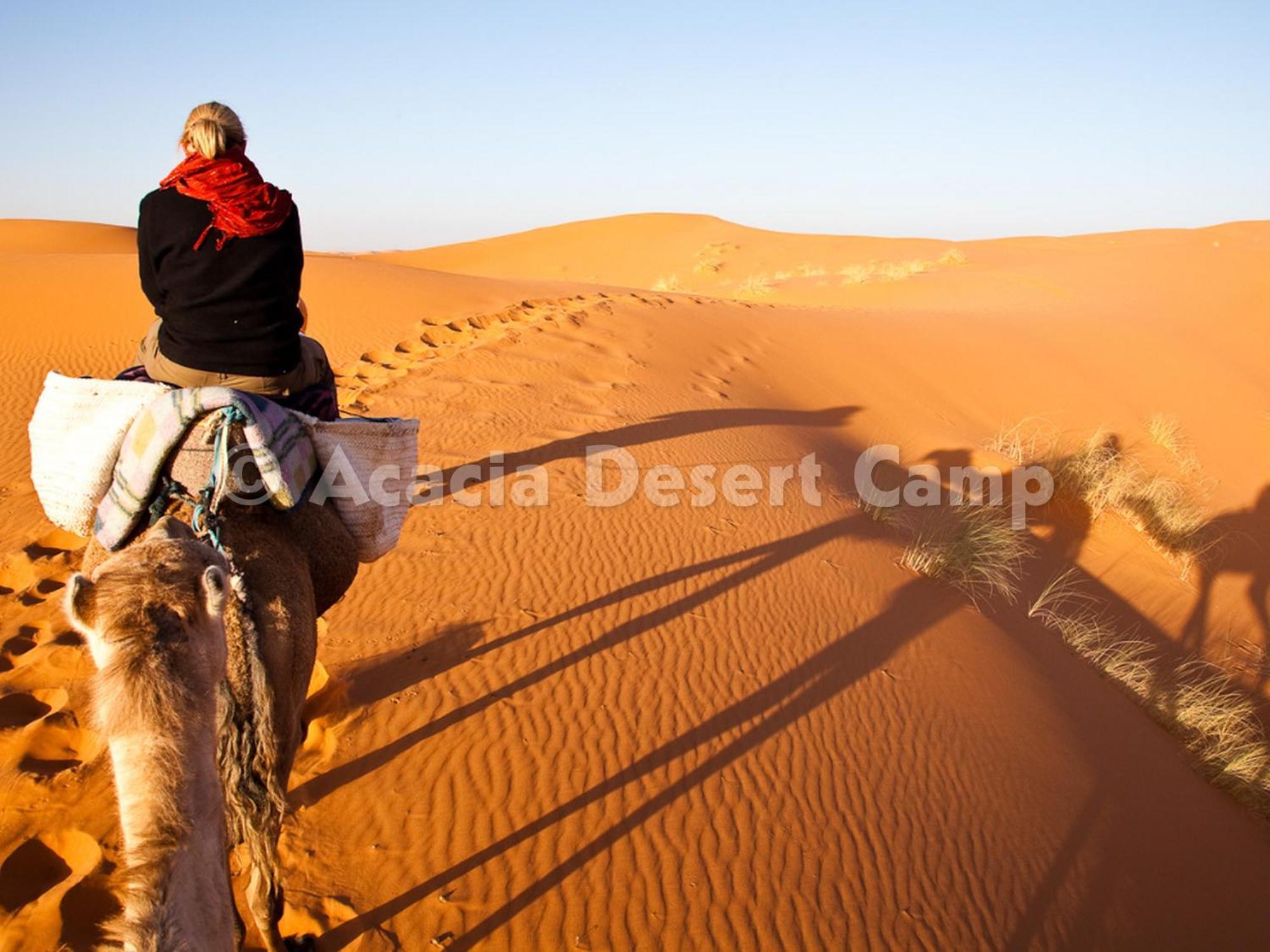 梅尔祖卡 Acacia Desert Camp酒店 外观 照片
