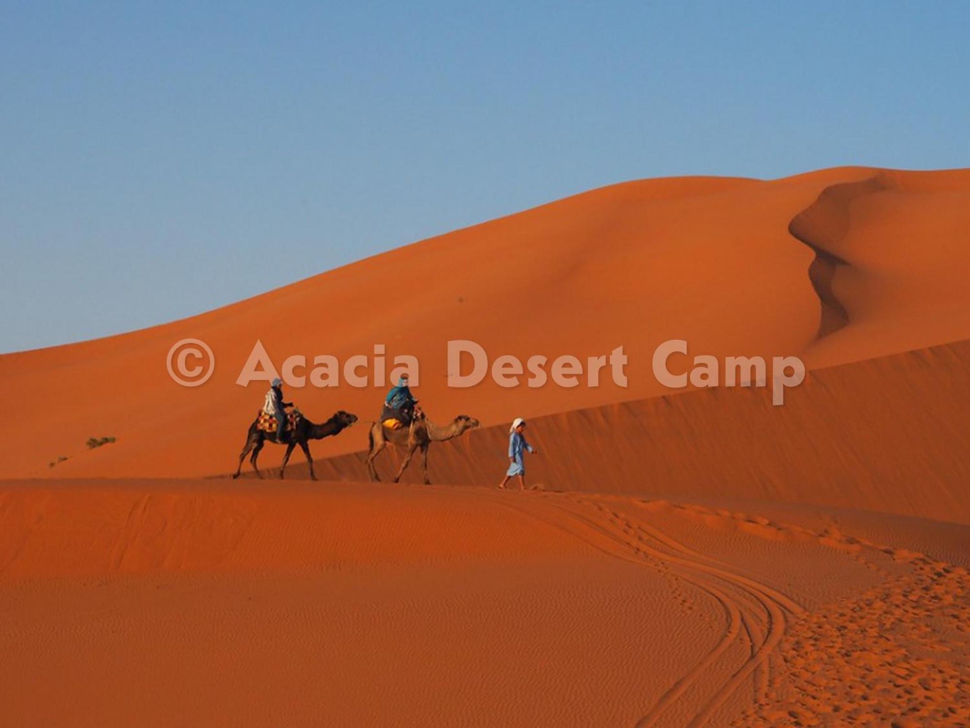 梅尔祖卡 Acacia Desert Camp酒店 外观 照片